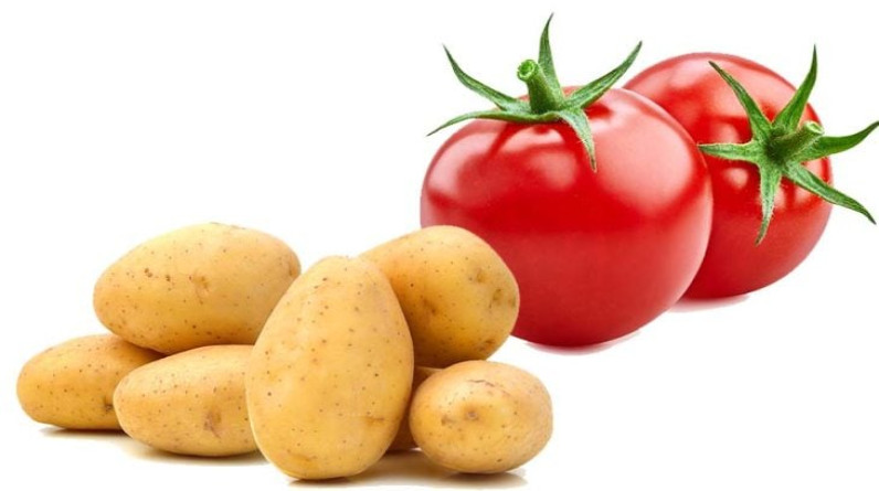 دراسة مفاجئة: البطاطس والبندورة يقاومان السرطان وعلاج مستخلص منهما قريباً
